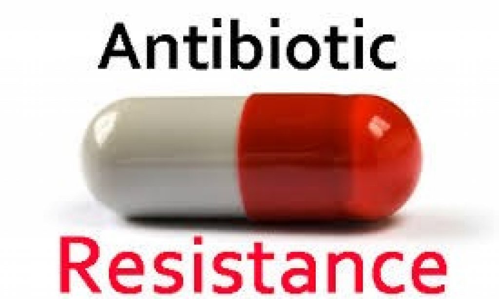 EU announces Roadmap on One Health Action Plan on AMR