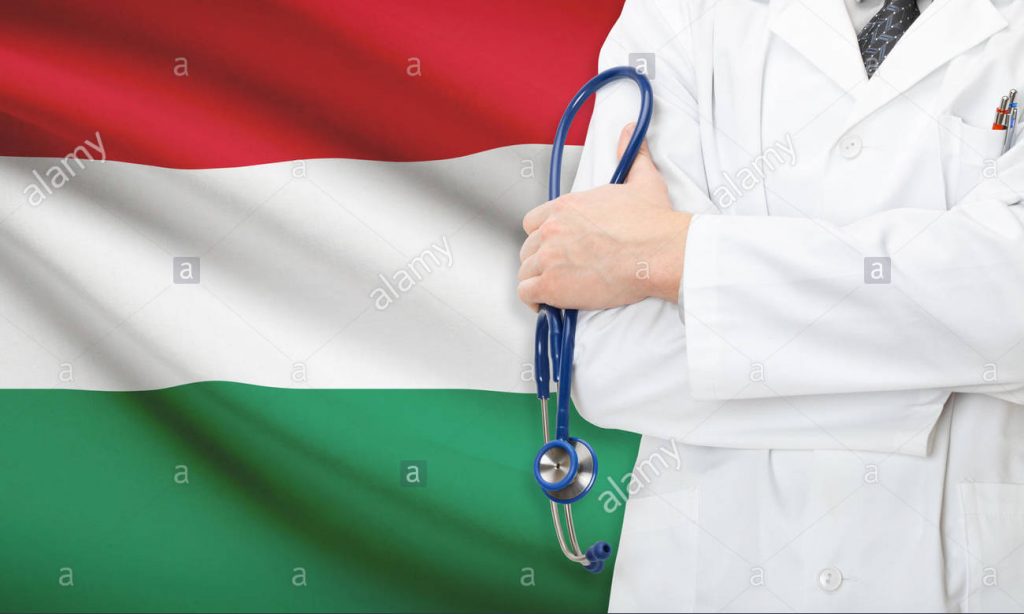 Health professionals mobility within the EU: the case of Hungary