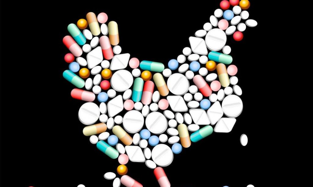 Fall in antibiotic use in food-producing animals reported by ECDC and EFSA