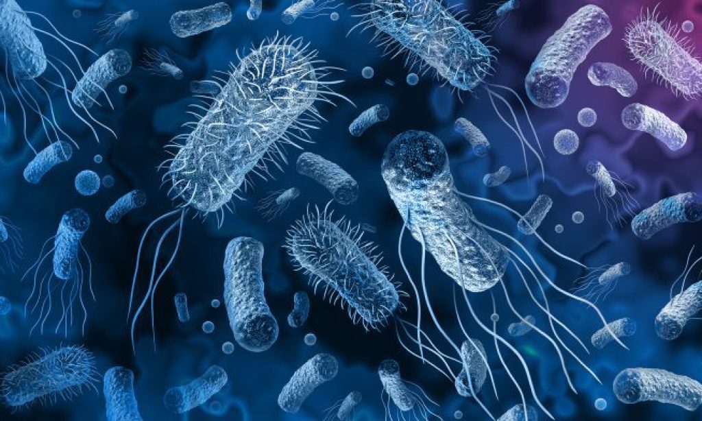 Council of the EU adopts the Recommendation on AMR